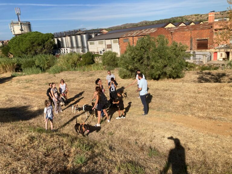 Retour en images sur la Dog École !